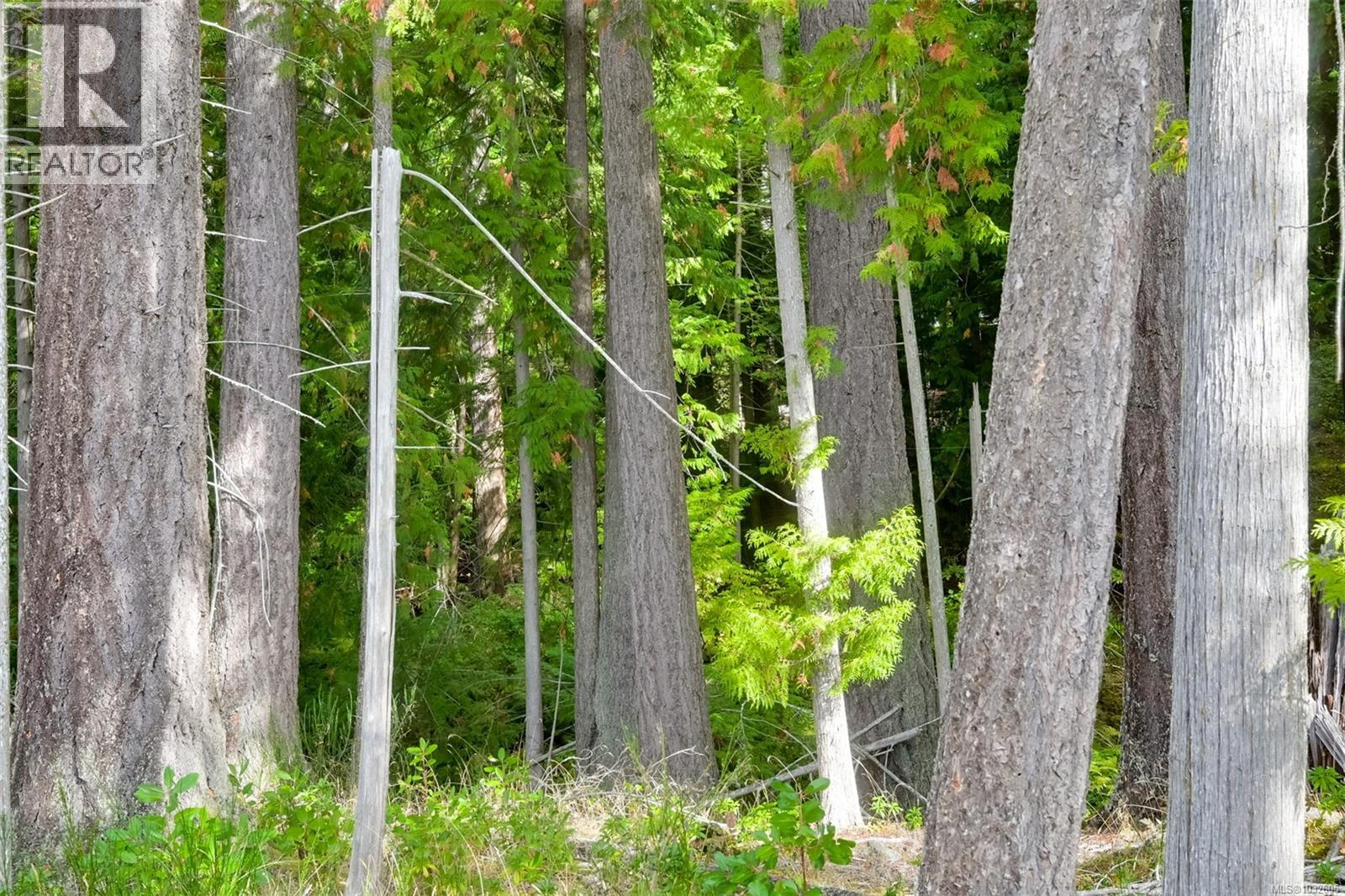 Lot 11 Katy's Cres, Shawnigan Lake