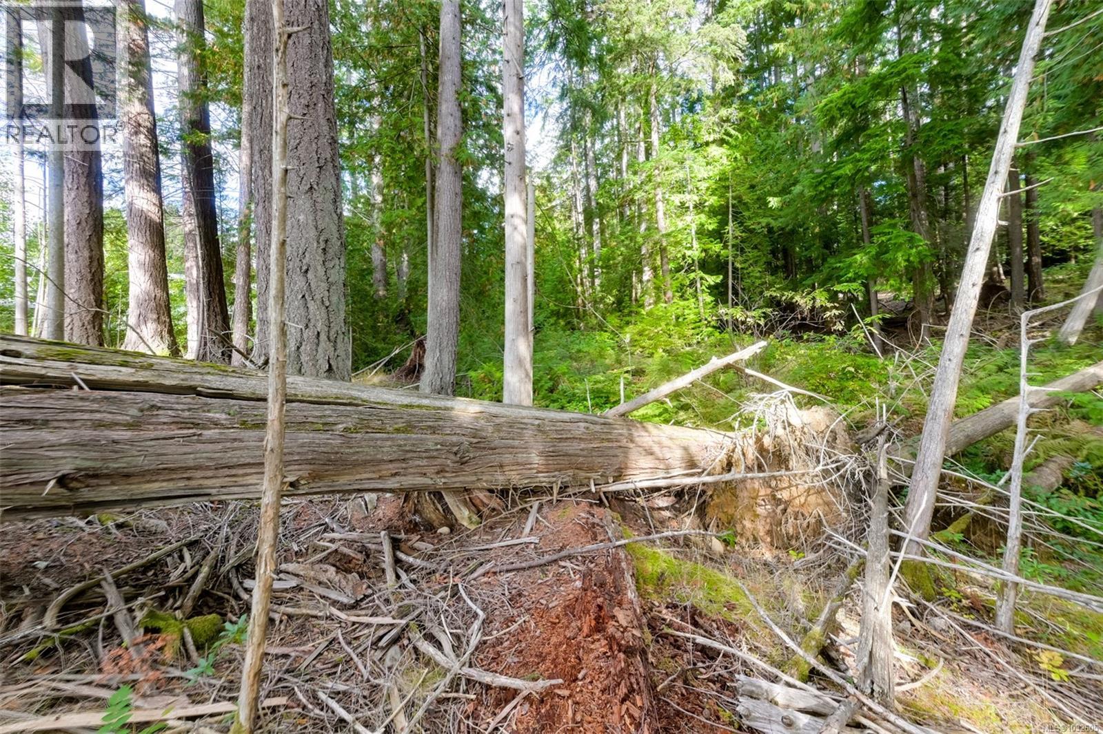 Lot 11 Katy's Cres, Shawnigan Lake