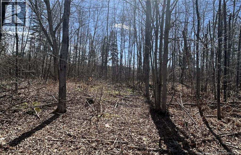 LOT Dr Hamilton Drive — photo 3