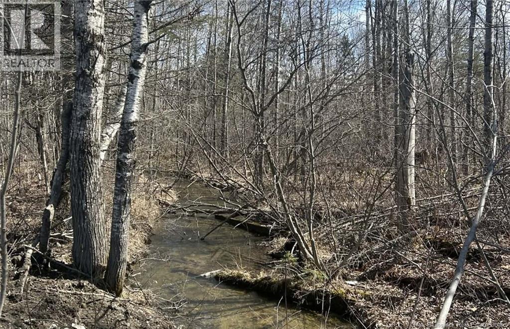LOT Dr Hamilton Drive — photo 2