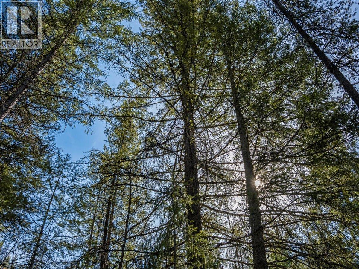  Lot 34 PASS CREEK Road, Castlegar