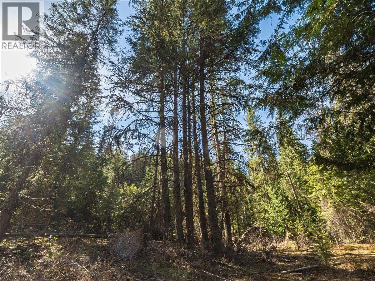  Lot 34 PASS CREEK Road, Castlegar