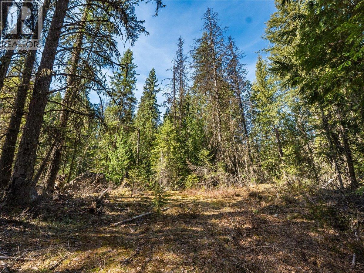  Lot 34 PASS CREEK Road, Castlegar
