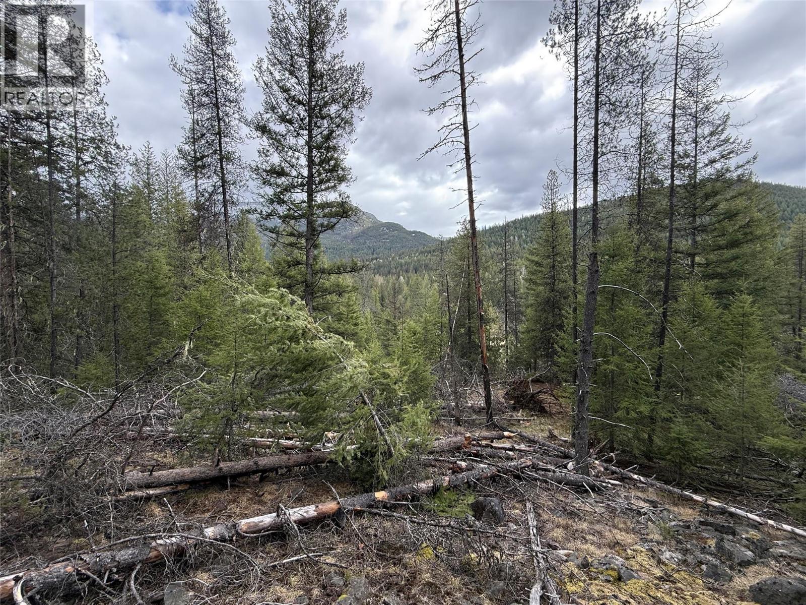  Lot 34 PASS CREEK Road, Castlegar