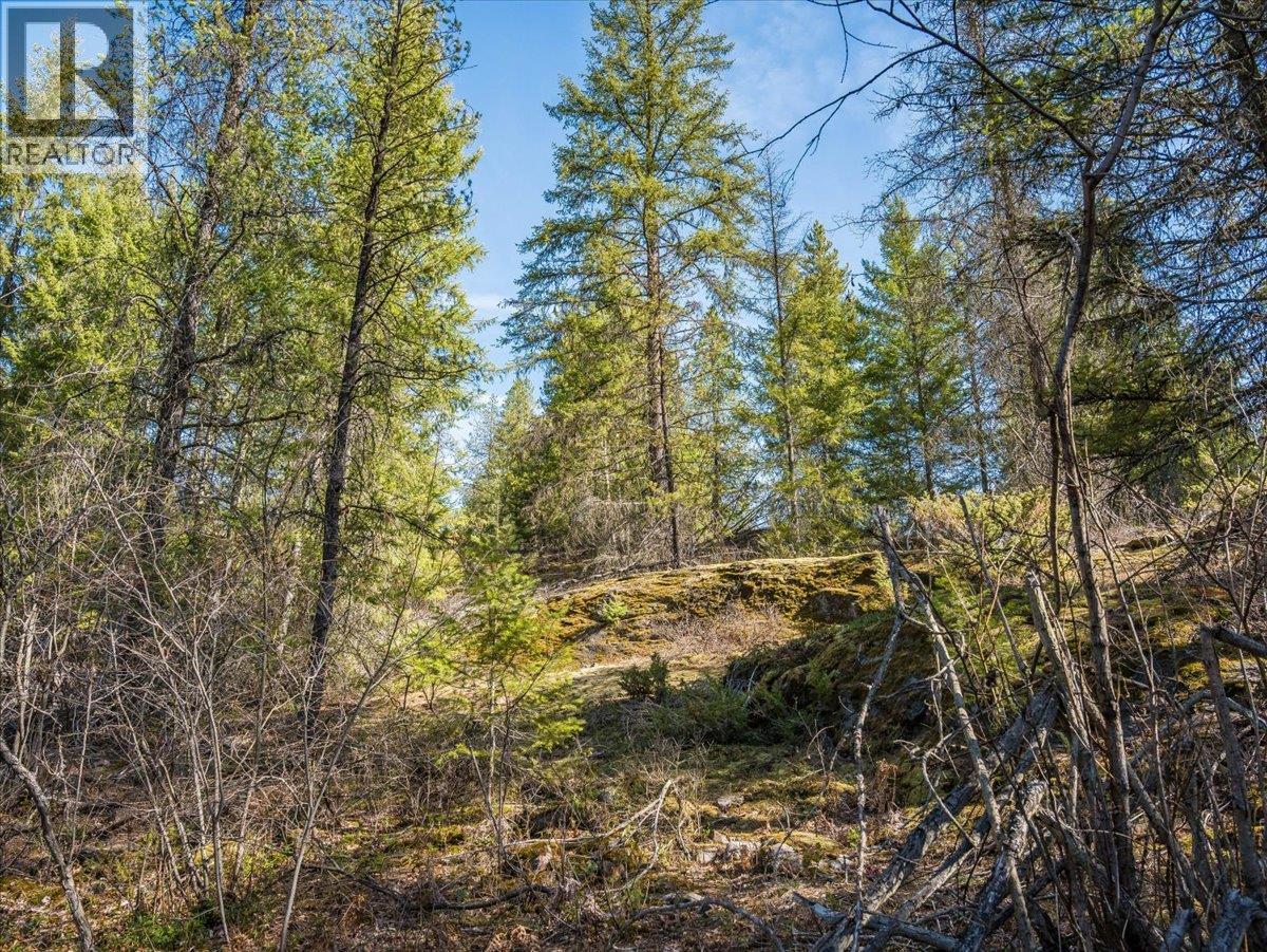  Lot 34 PASS CREEK Road, Castlegar