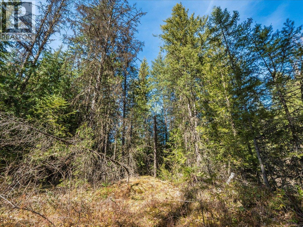  Lot 34 PASS CREEK Road, Castlegar