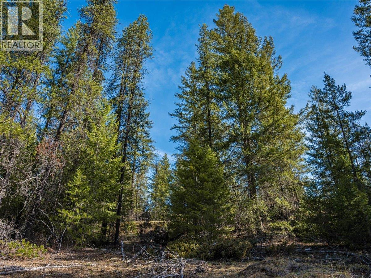  Lot 34 PASS CREEK Road, Castlegar