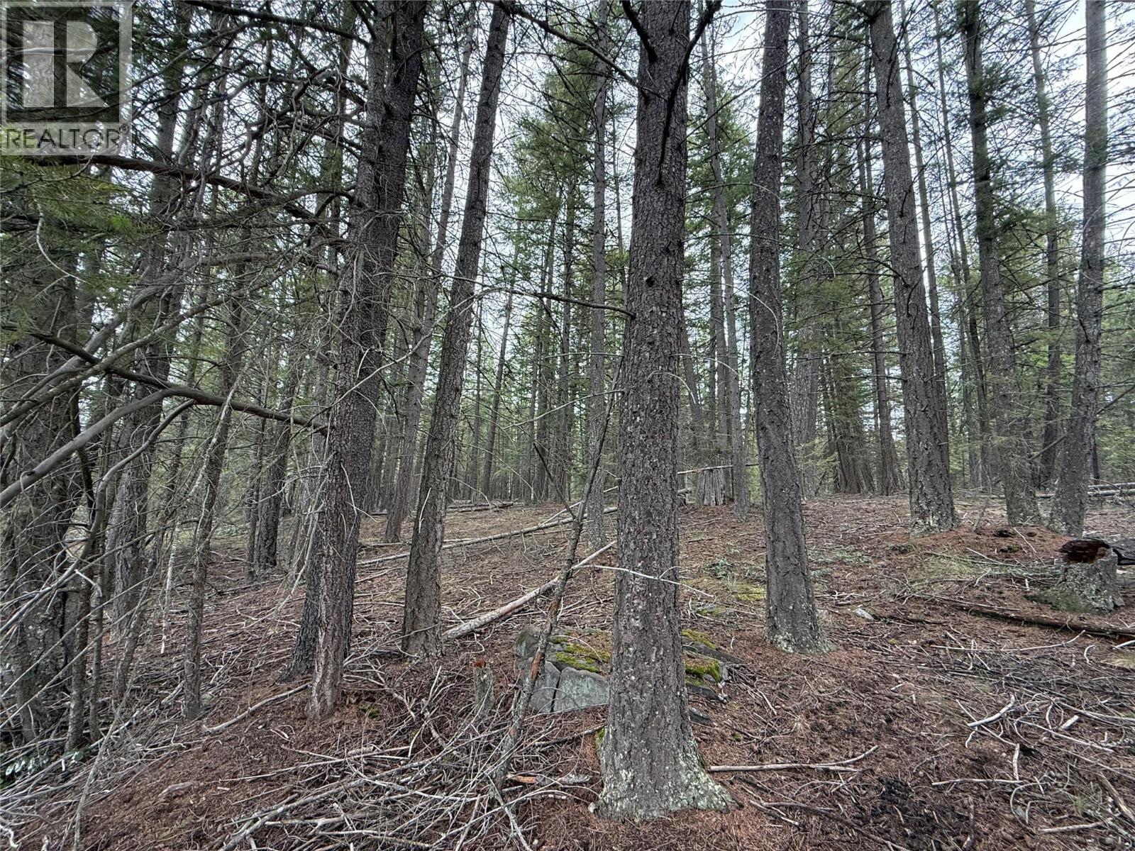  Lot 34 PASS CREEK Road, Castlegar