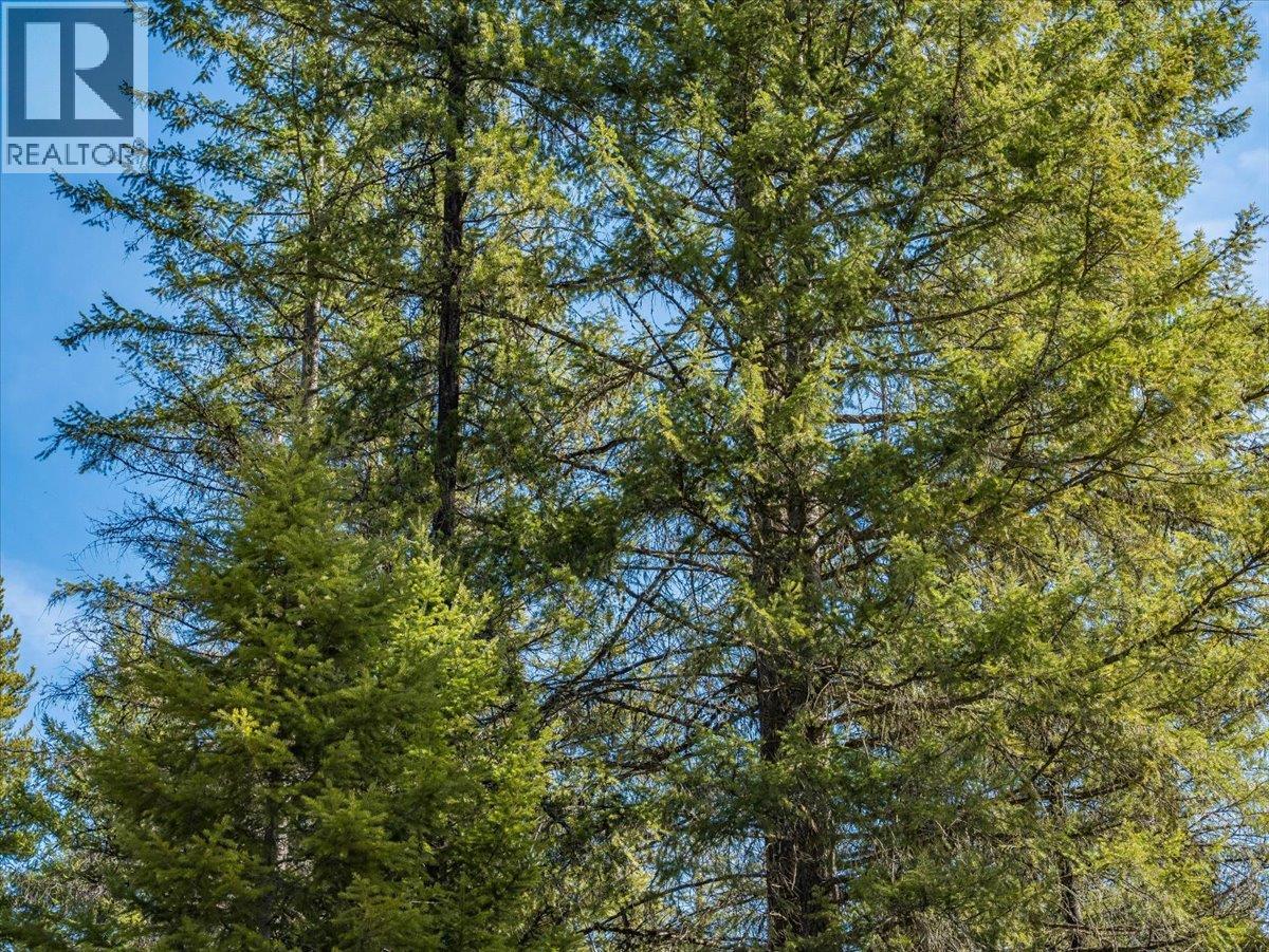  Lot 34 PASS CREEK Road, Castlegar