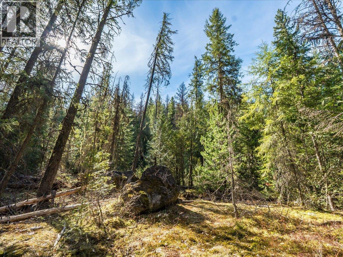  Lot 34 PASS CREEK Road, Castlegar