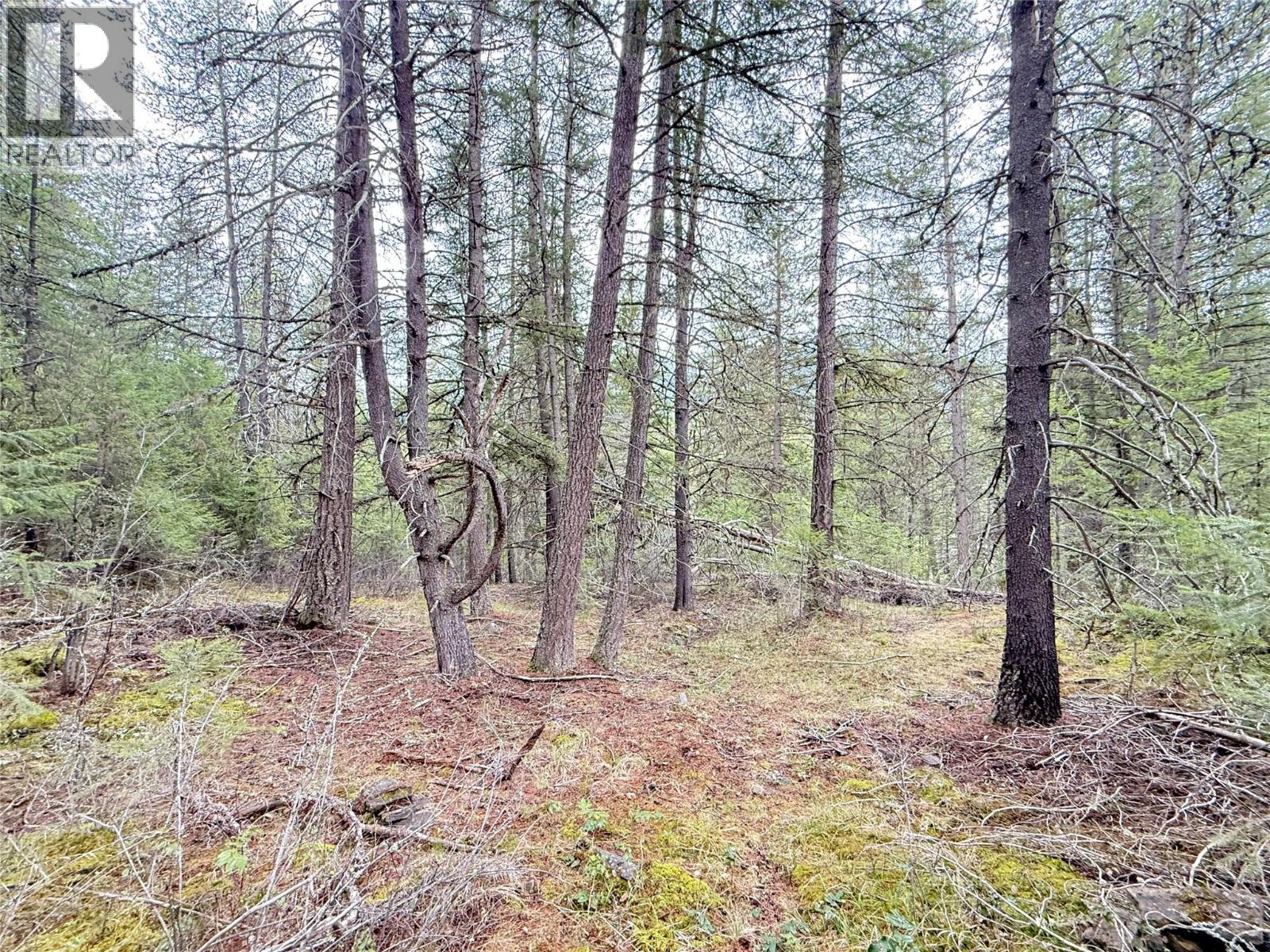  Lot 34 PASS CREEK Road, Castlegar