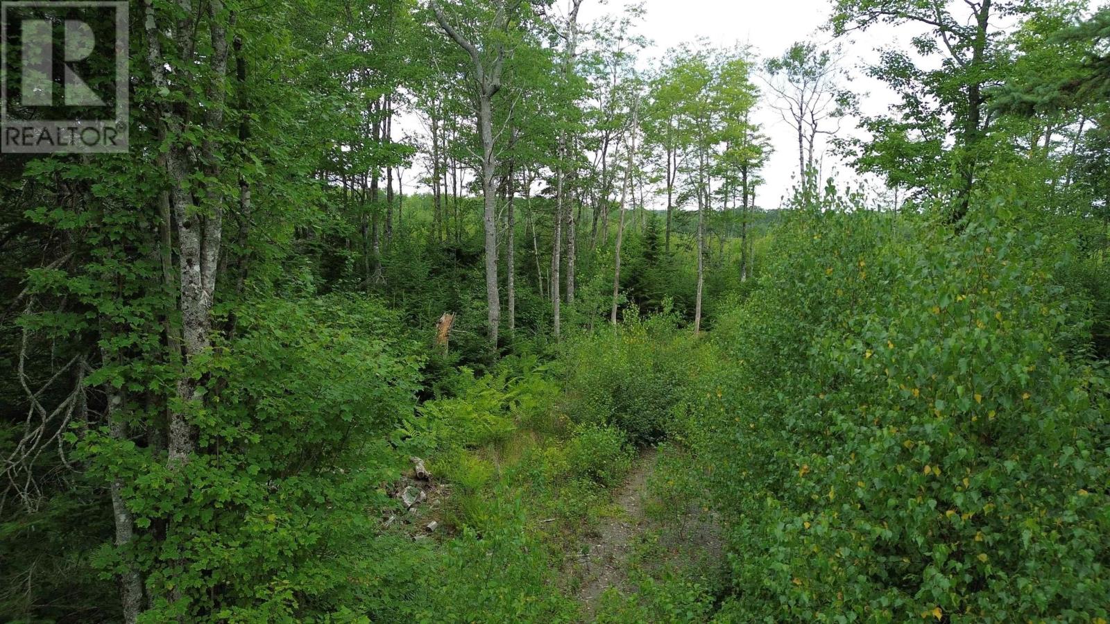 Property 8 of 8 of Lot 8 Peck Meadow Road