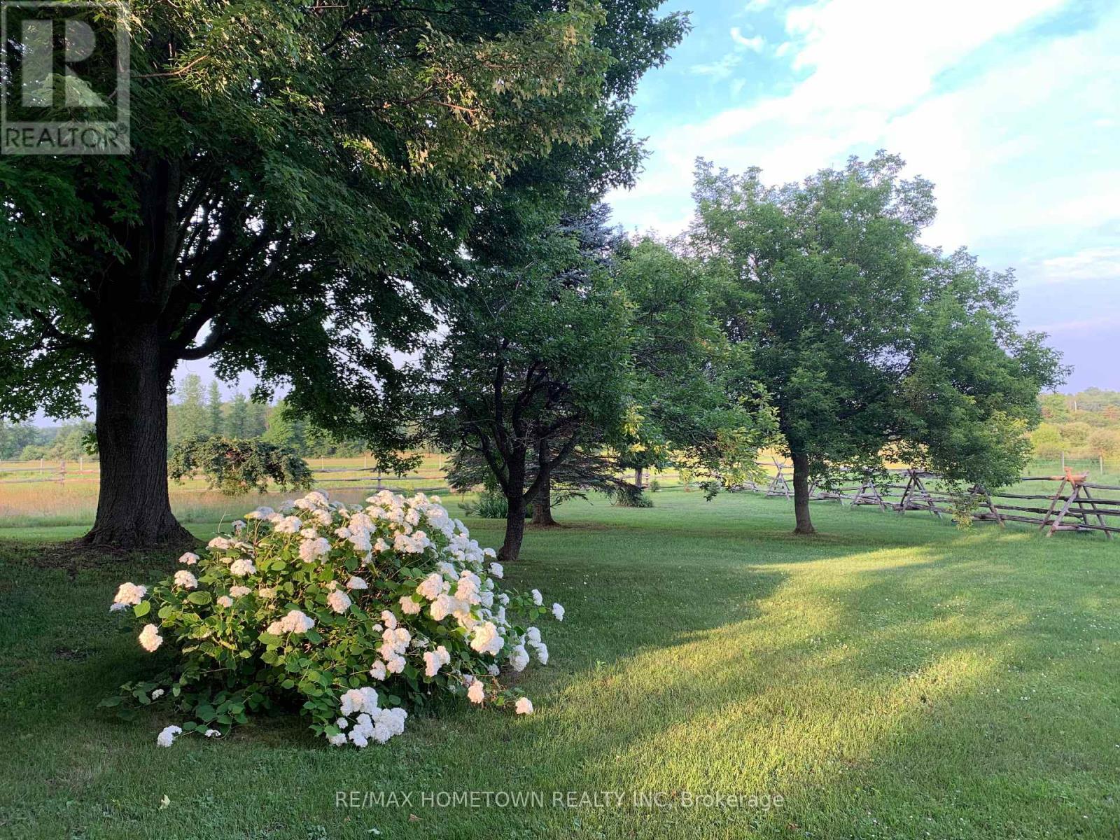 11842 ROCKSPRINGS ROAD — photo 40