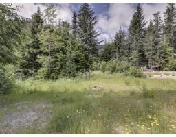 46880 Sakwi Creek Road, Mission, BC V0M1A1 Photo 35