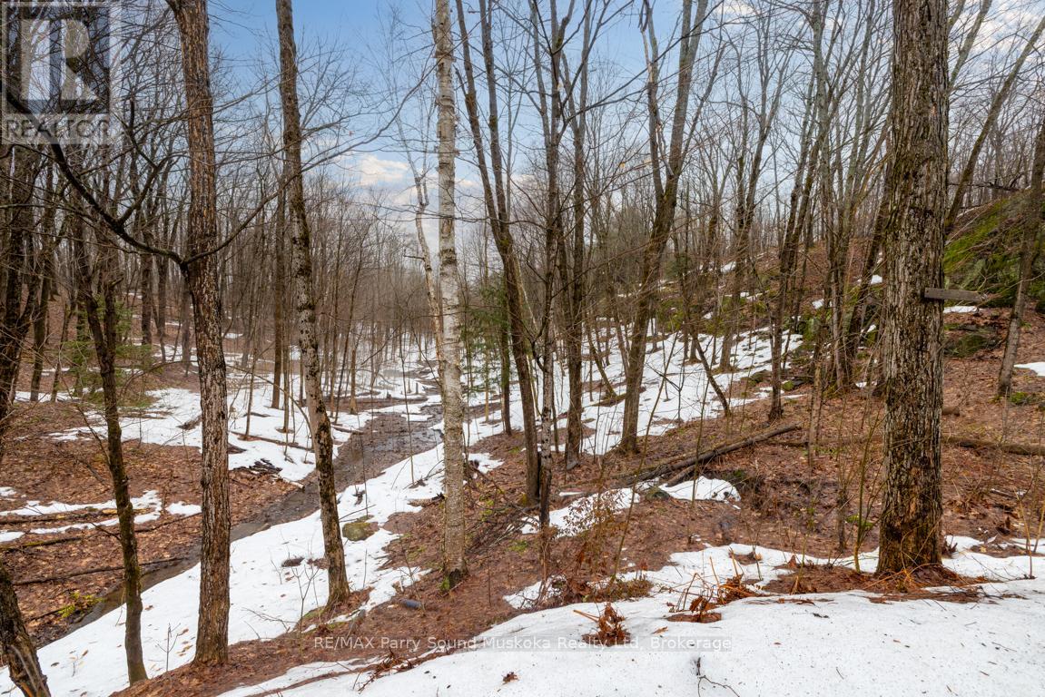 Maple trees