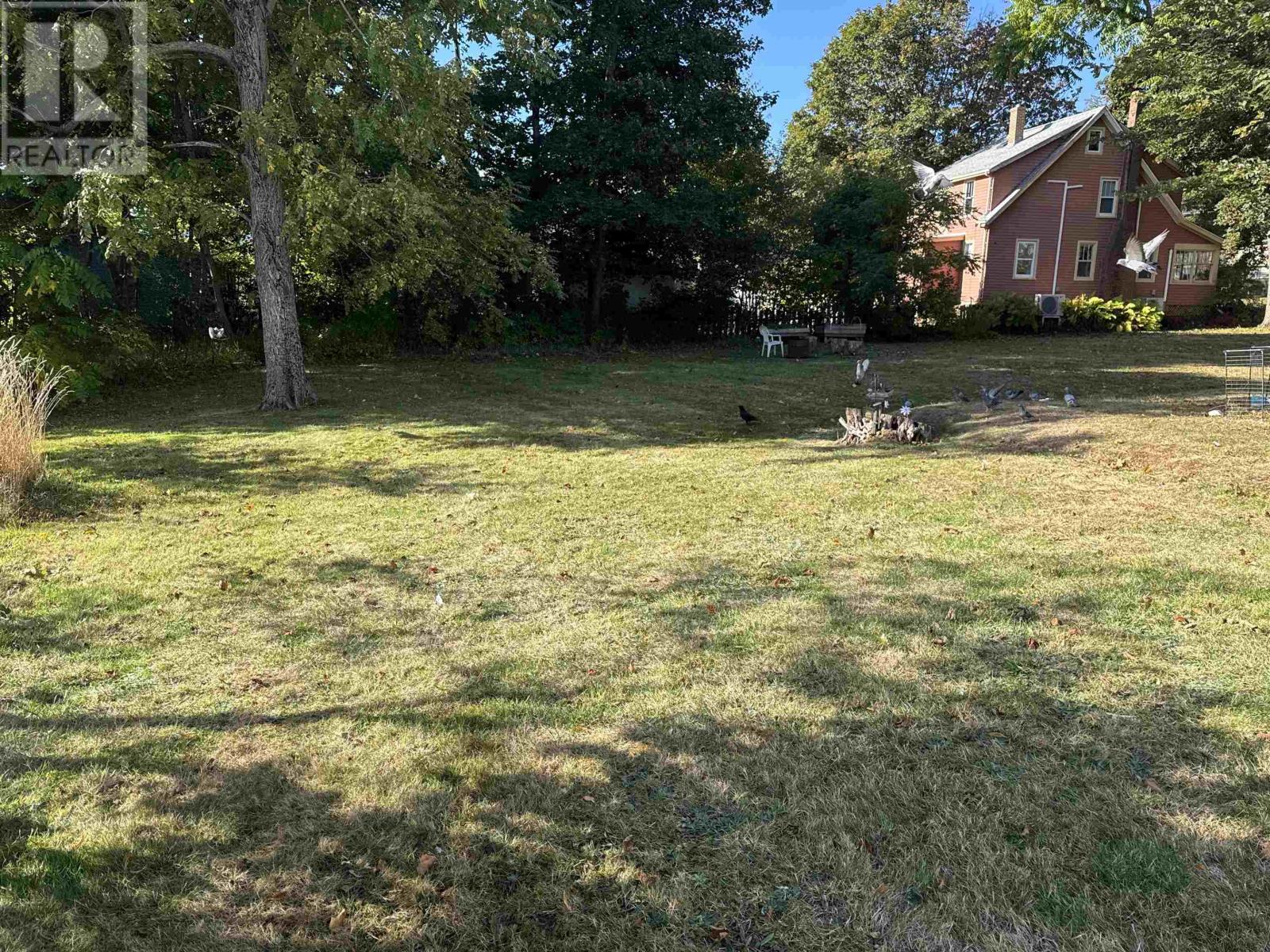 70 Longworth Avenue - 5