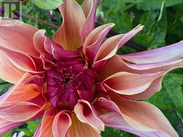 Property 47 of 50 of 2654 Highway 329