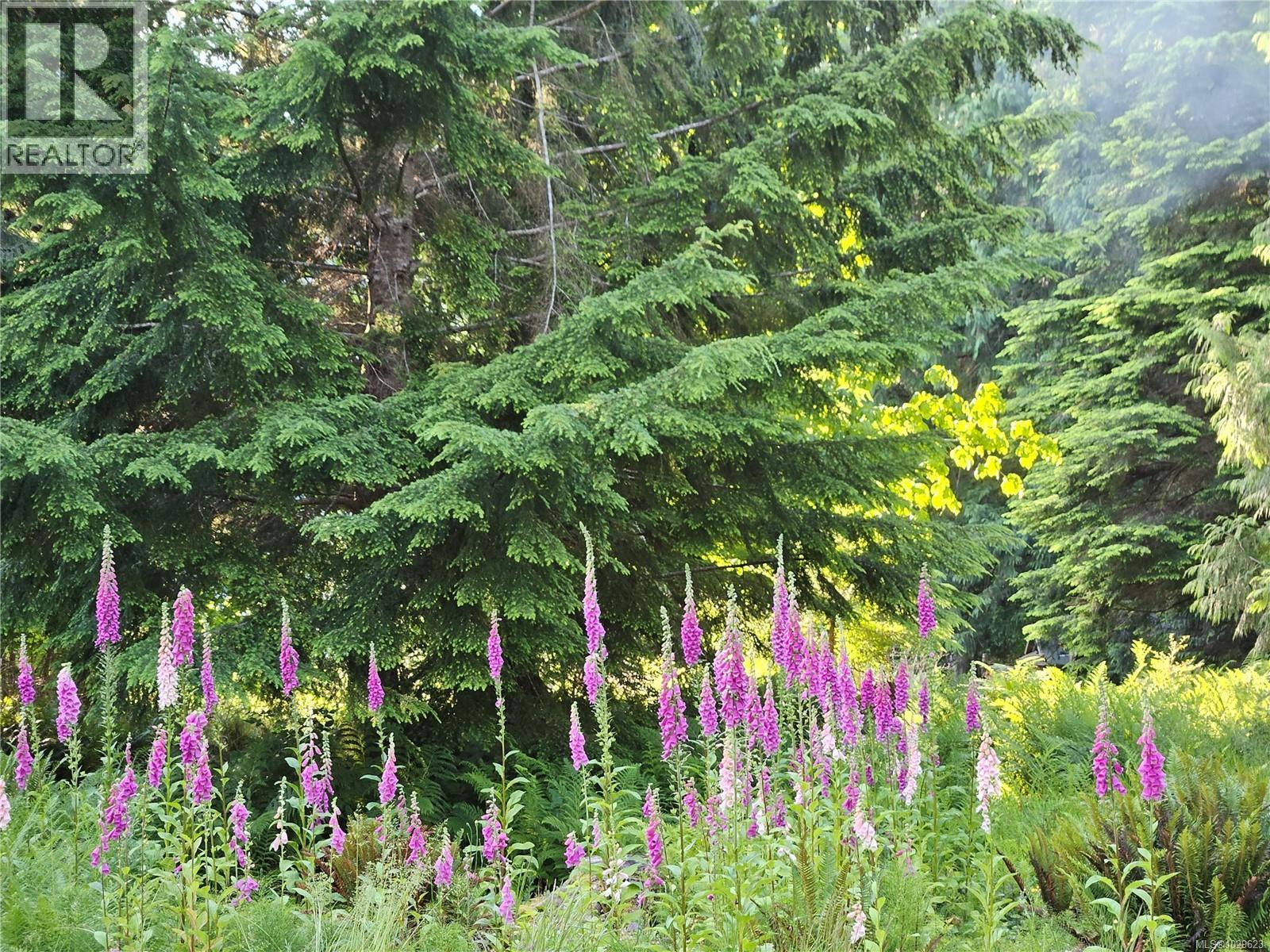 8131 MACARTNEY DR - 7