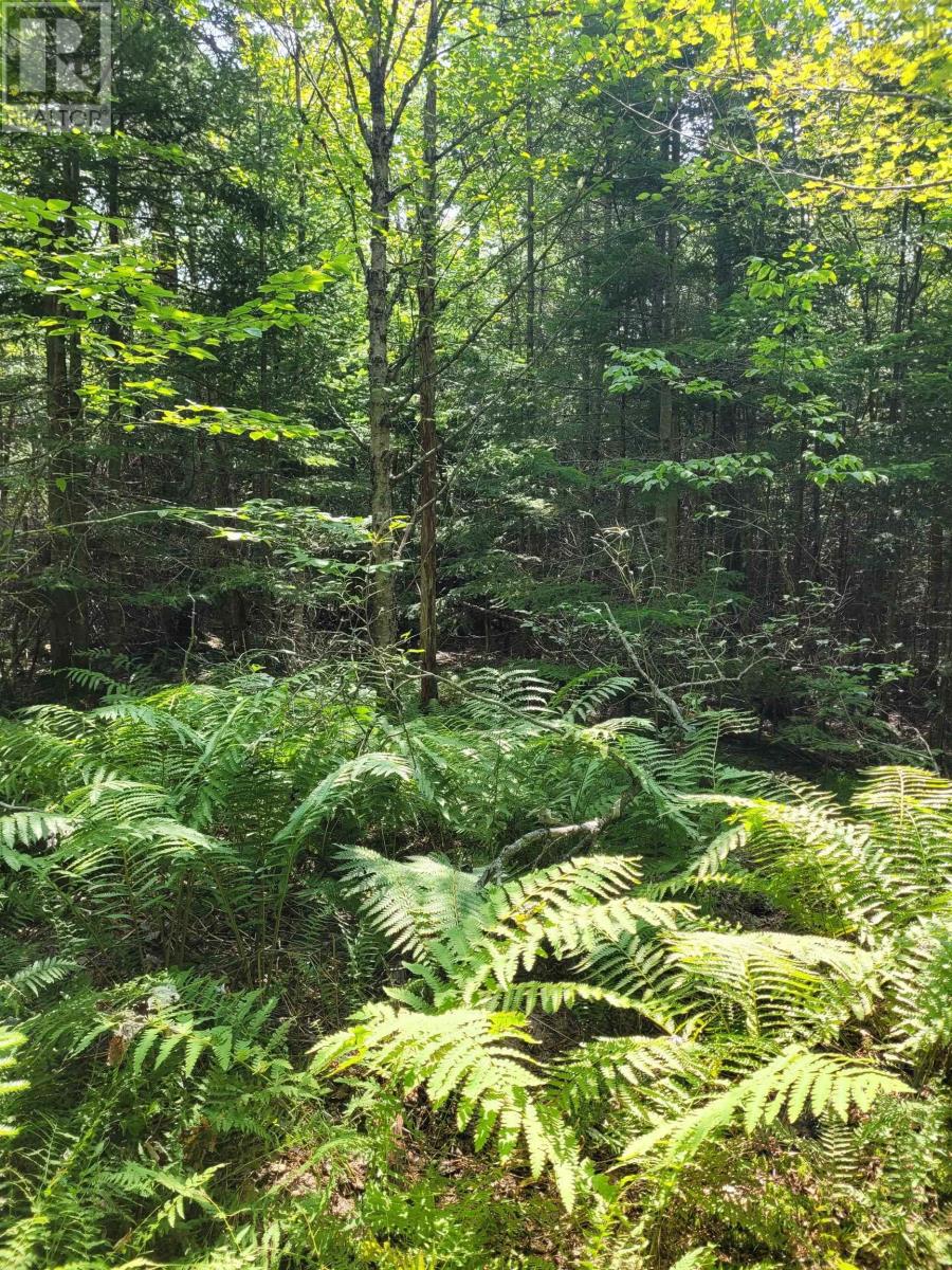 Property 11 of 20 of Crandall Road