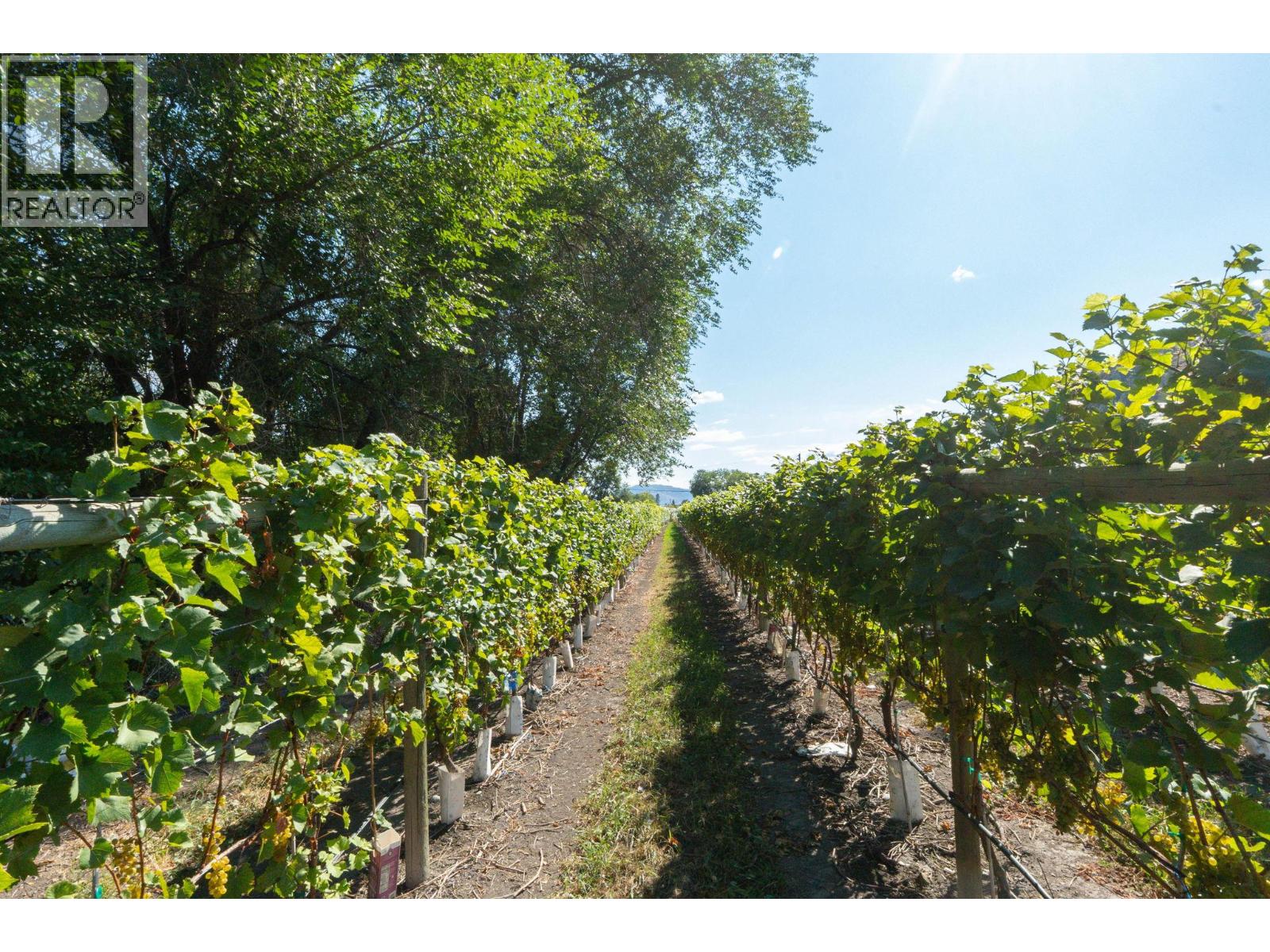 7337 Highway 97, Oliver