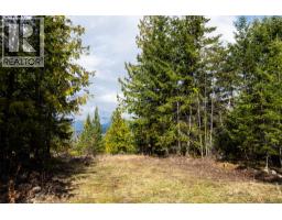 400 Lexington Avenue, Procter, BC V0G1V0 Photo 7