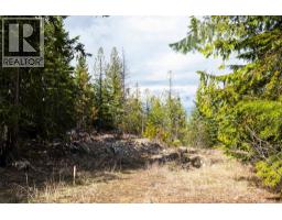 400 Lexington Avenue, Procter, BC V0G1V0 Photo 10
