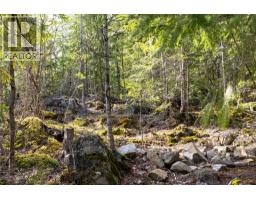 400 Lexington Avenue, Procter, BC V0G1V0 Photo 11