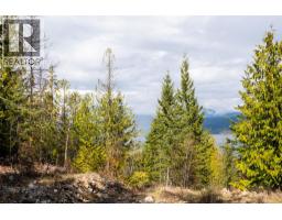 400 Lexington Avenue, Procter, BC V0G1V0 Photo 12