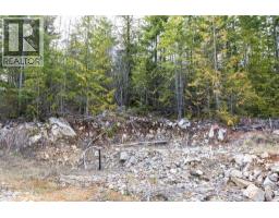 400 Lexington Avenue, Procter, BC V0G1V0 Photo 13