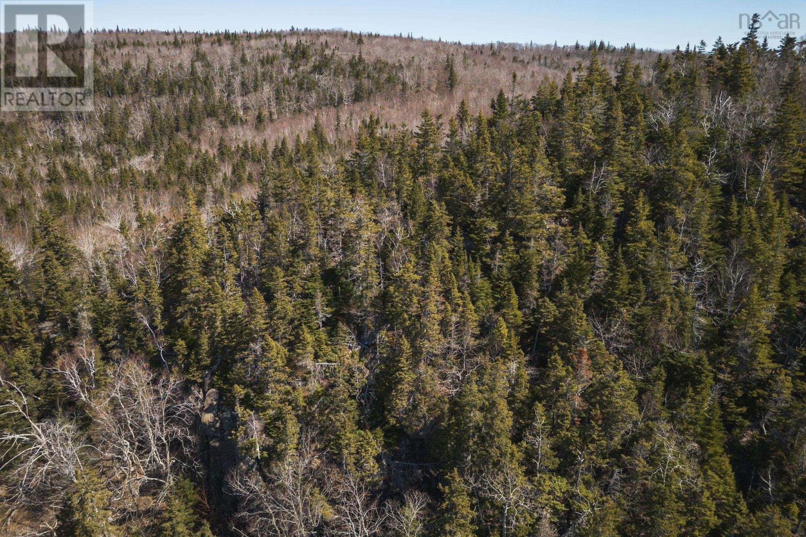 Property 8 of 28 of 100 Acres Route 19