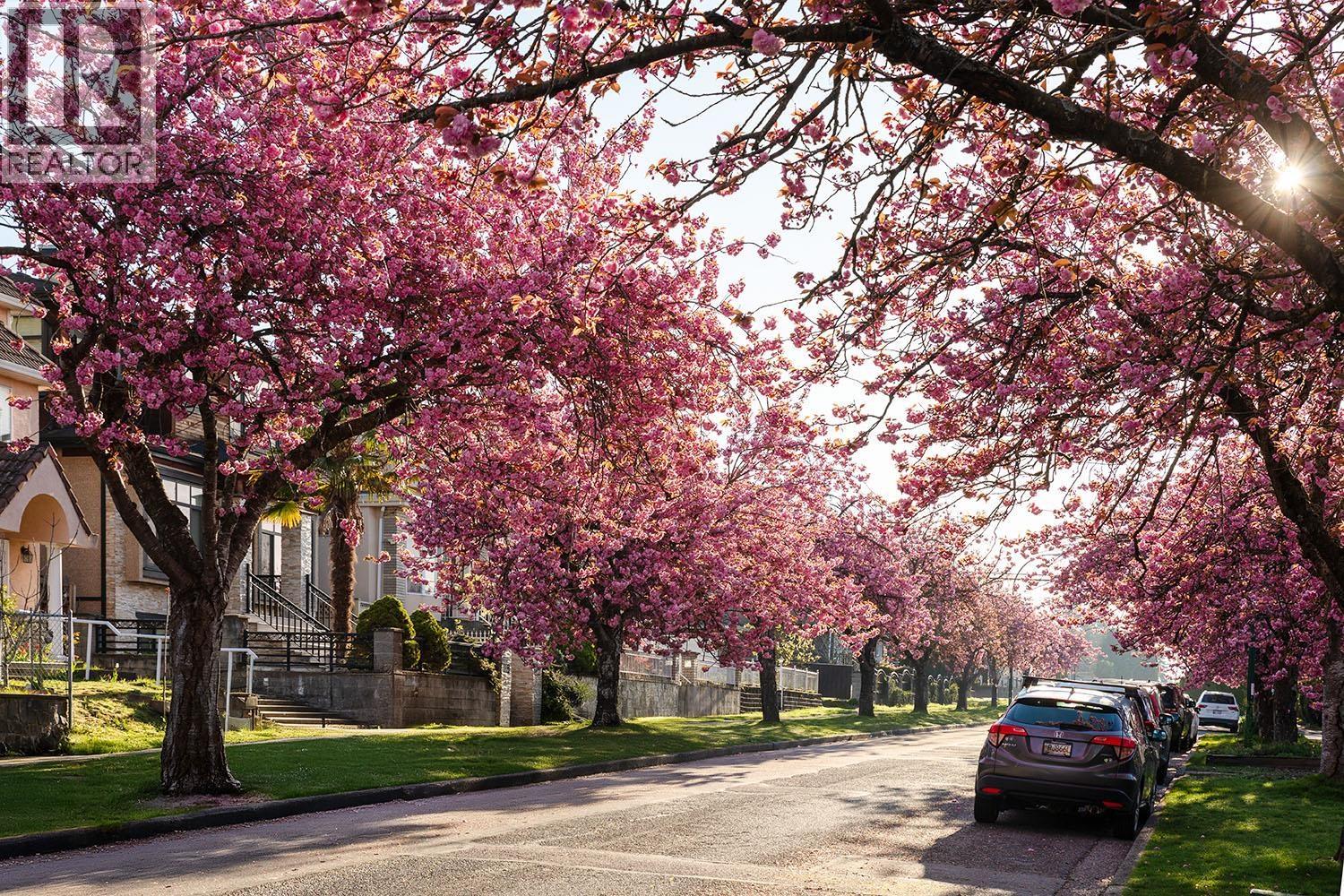 111 E 61ST AVENUE, Vancouver