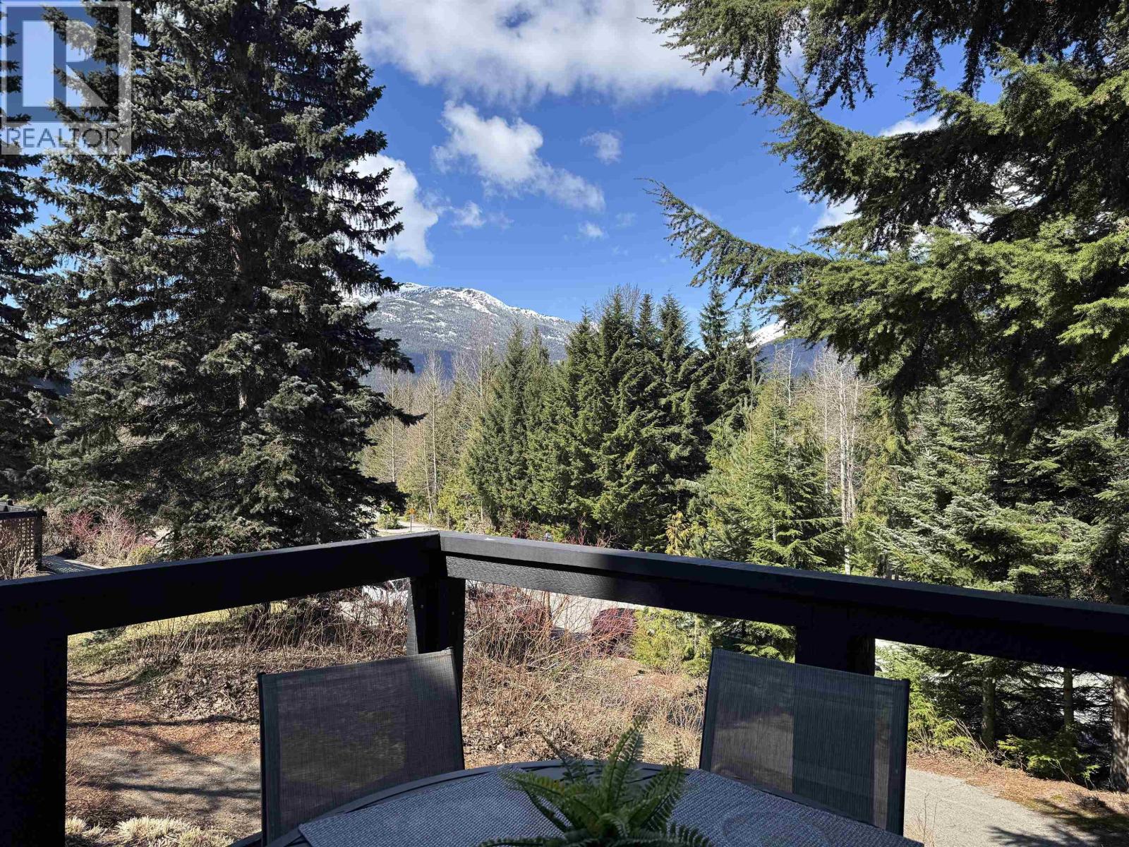 2 4637 BLACKCOMB WAY — photo 19