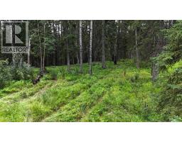 10, 16511 Township Road 532a, Rural Yellowhead County, AB T7E3A6 Photo 10