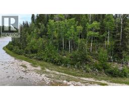 10a, 16511 Township Road 532a, Rural Yellowhead County, AB T7E3A6 Photo 8