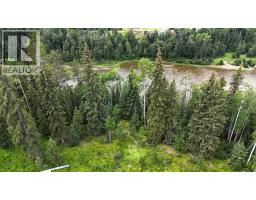 10a, 16511 Township Road 532a, Rural Yellowhead County, AB T7E3A6 Photo 9