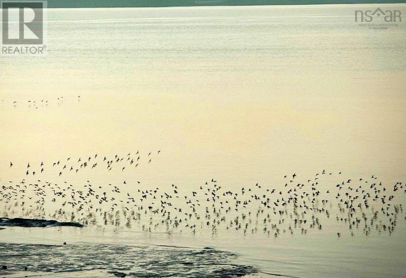 Property 43 of 50 of 102 Pheasant Road