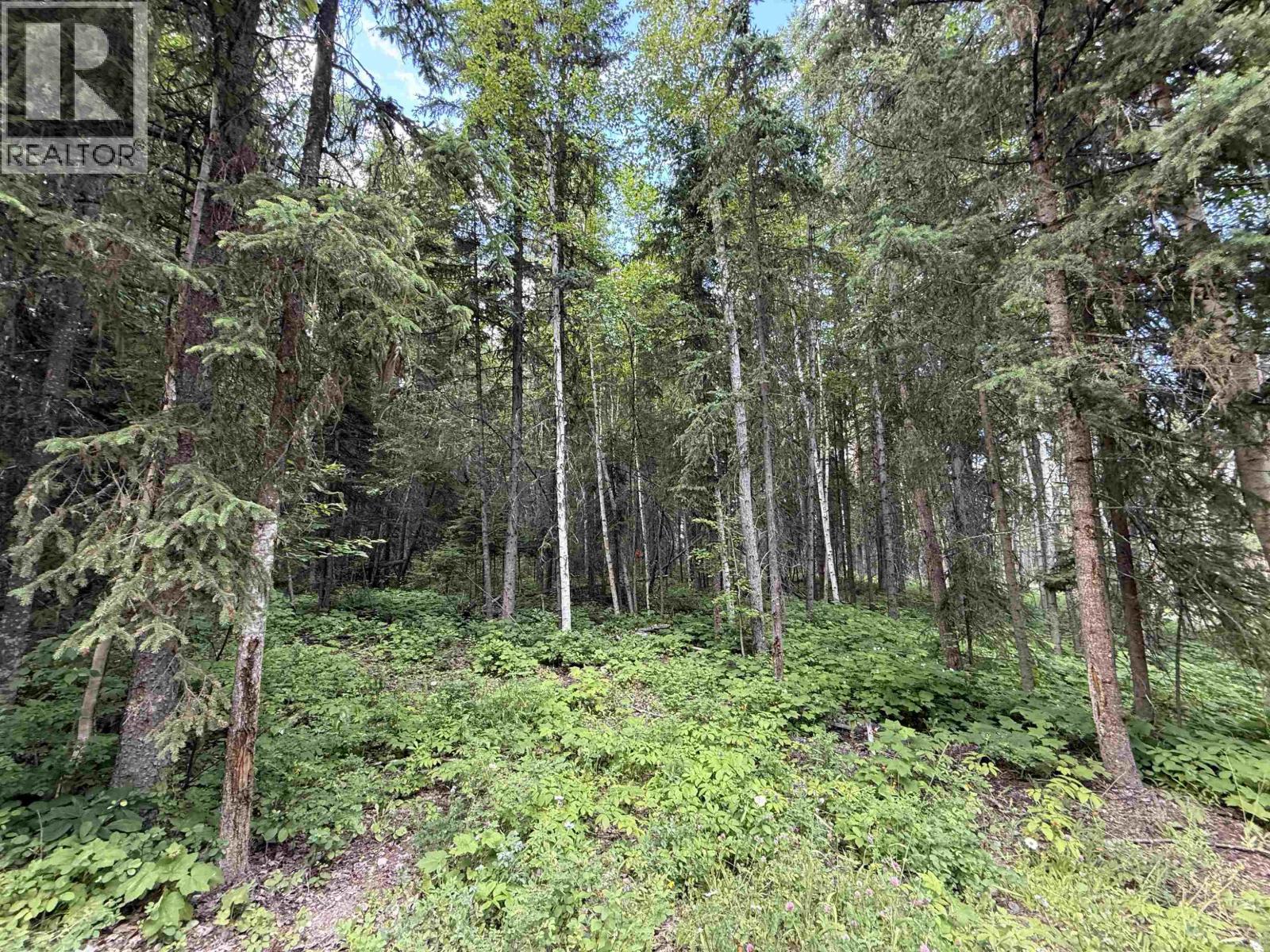 LOT 1 BOOTH ROAD, Quesnel