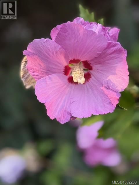 2446 TWIN VIEW DR - 34