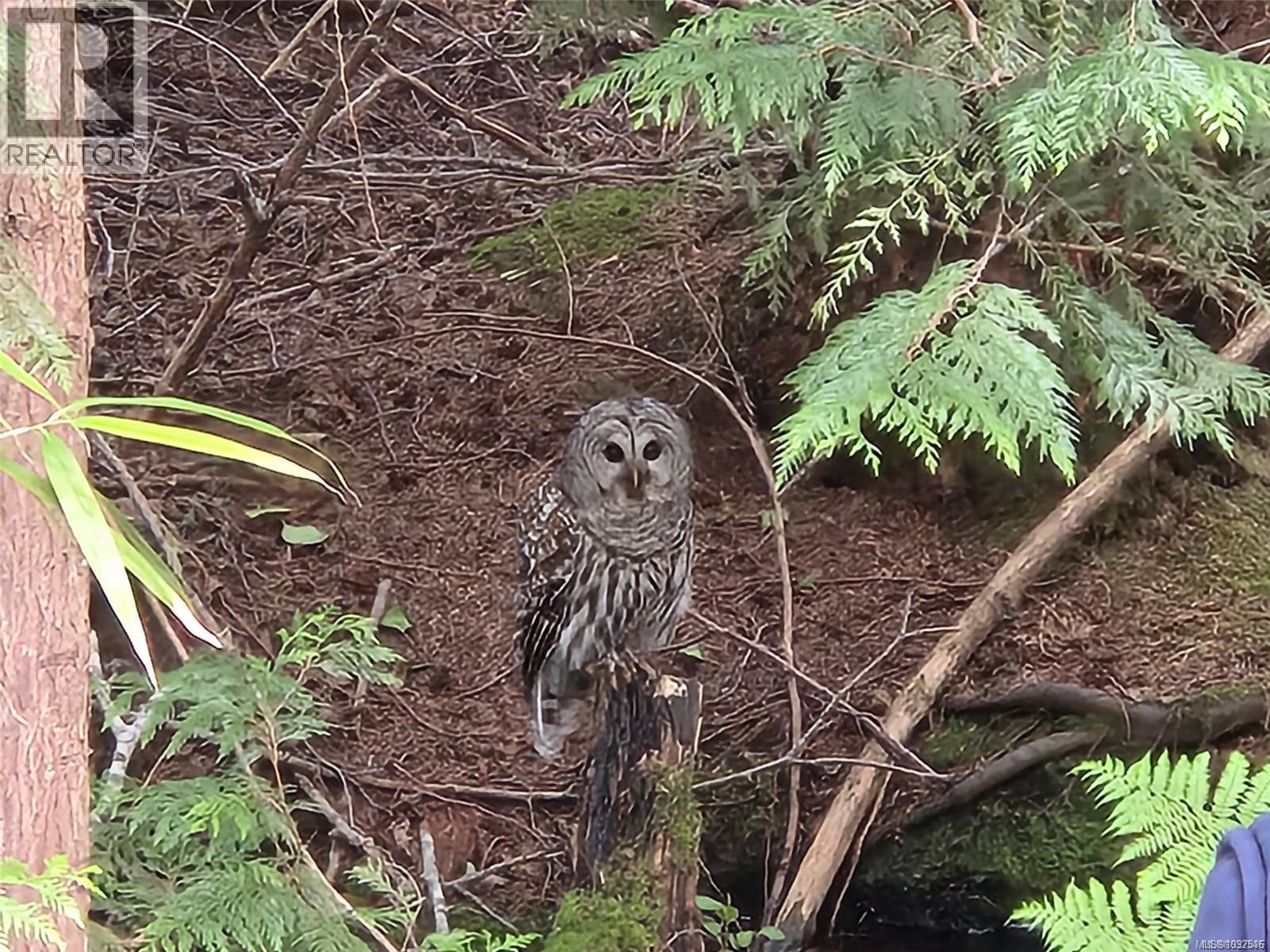 G12/13 2650 Turnbull Avenue, Parksville