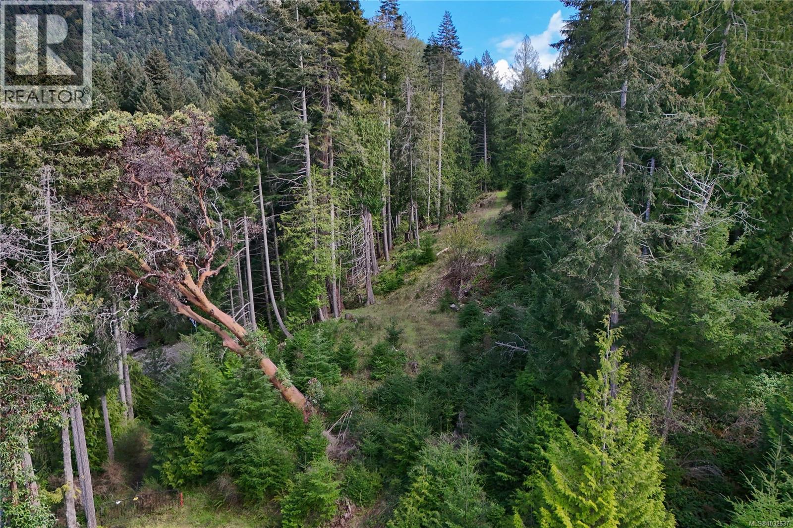 122 Narrows West Rd — photo 8