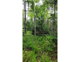 Lot 22 Highway 4, Kempt Road, NS B0E1J0 Photo 19