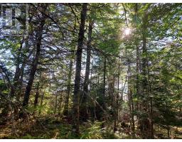 Lot 22 Highway 4, Kempt Road, NS B0E1J0 Photo 10