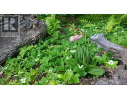 Lot 22 Highway 4, Kempt Road, NS B0E1J0 Photo 6