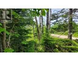 Lot 22 Highway 4, Kempt Road, NS B0E1J0 Photo 15