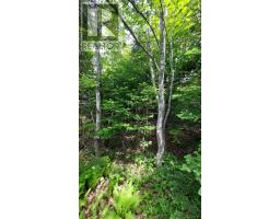 Lot 22 Highway 4, Kempt Road, NS B0E1J0 Photo 21
