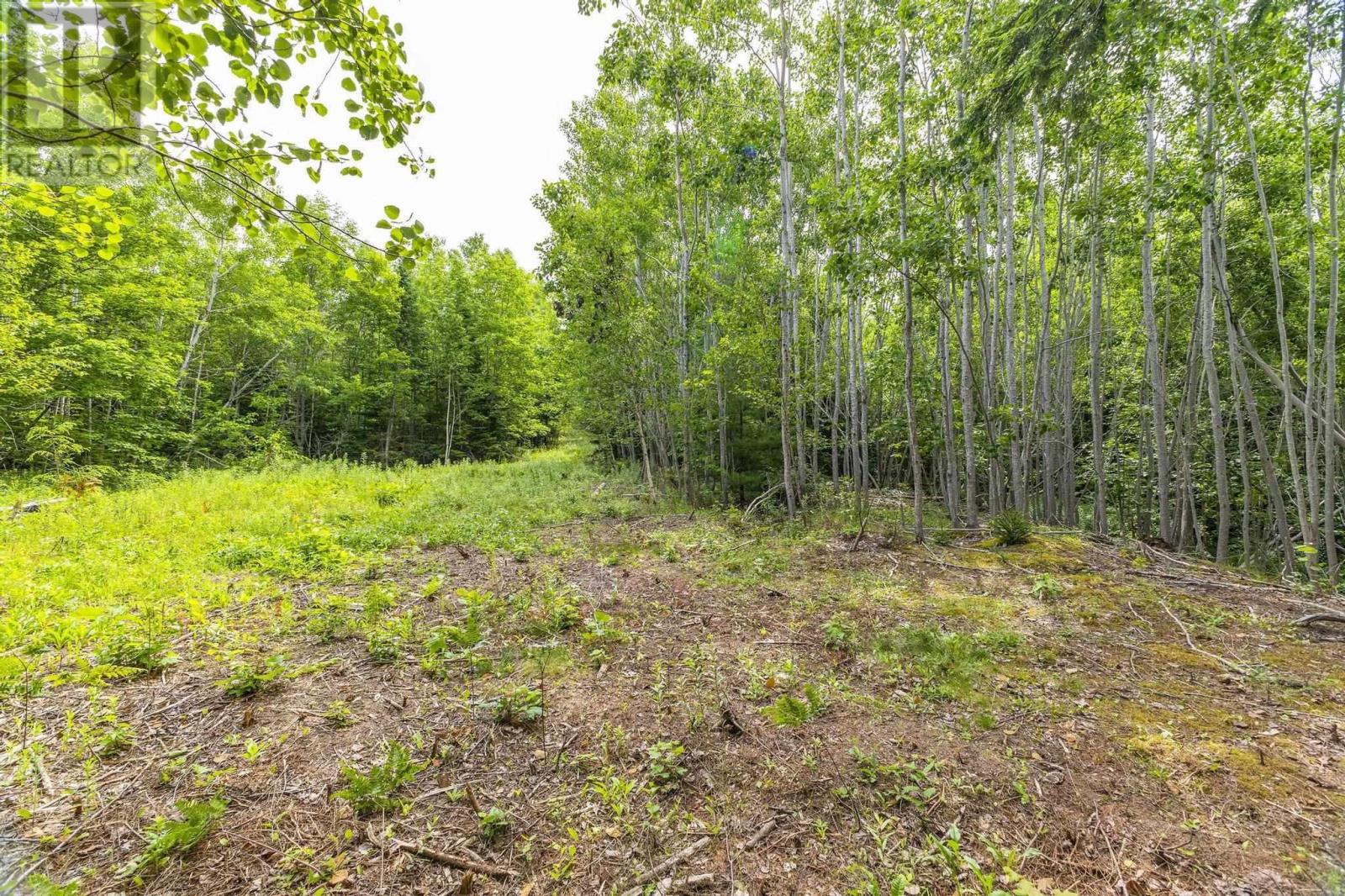 Property photo of River Road