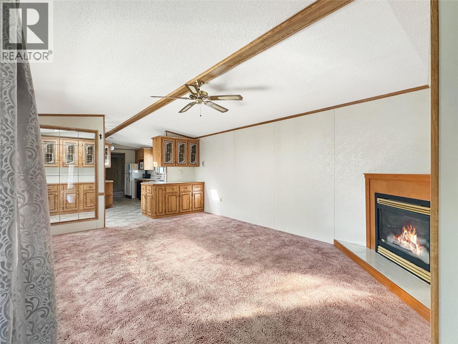 46 6778 TUCELNUIT Drive, Oliver