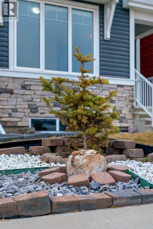 Single Family House for Sale in  Red Sky Way NE Redstone Calgary 