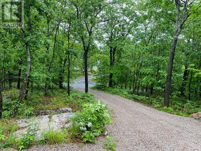 Year round road access