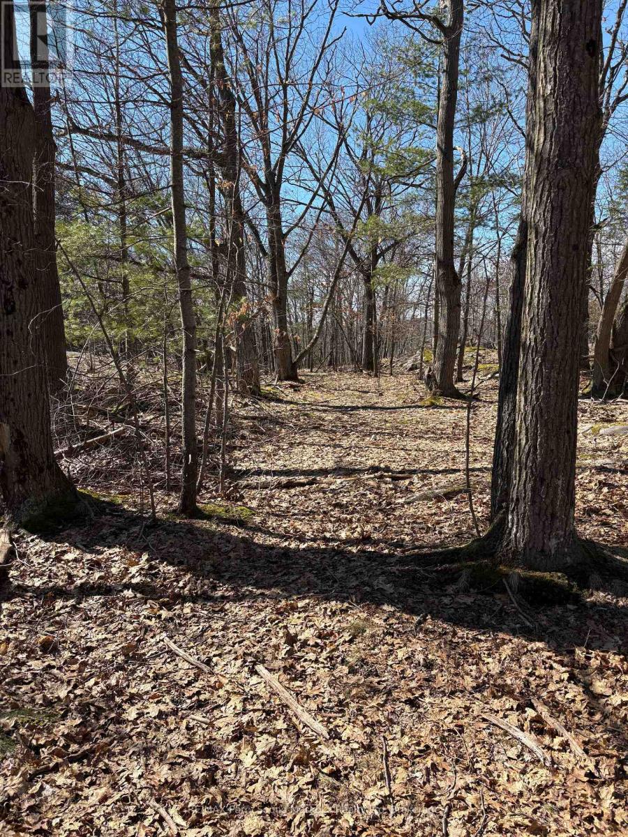 Trail to look out, Pond area